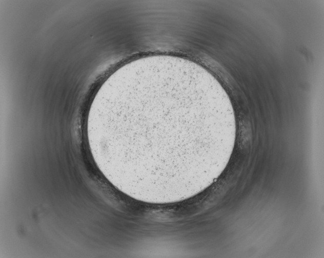 X0000111940680200909071300