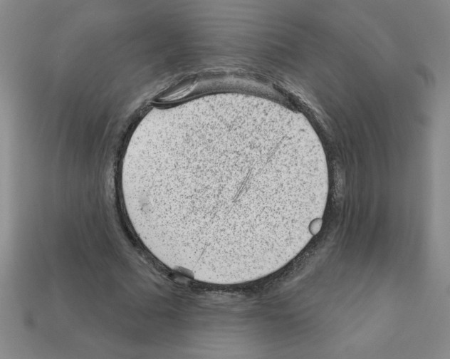 X0000111940681200909071300