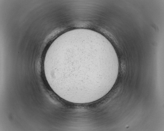 X0000111940682200909071300