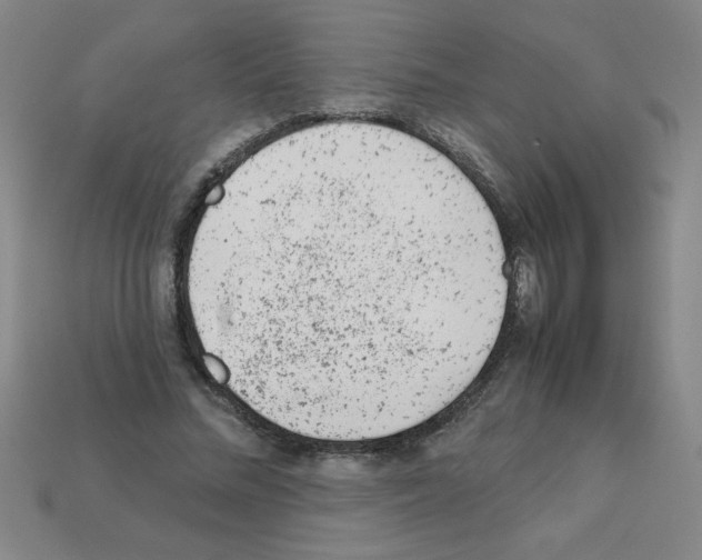 X0000111940684200909071300