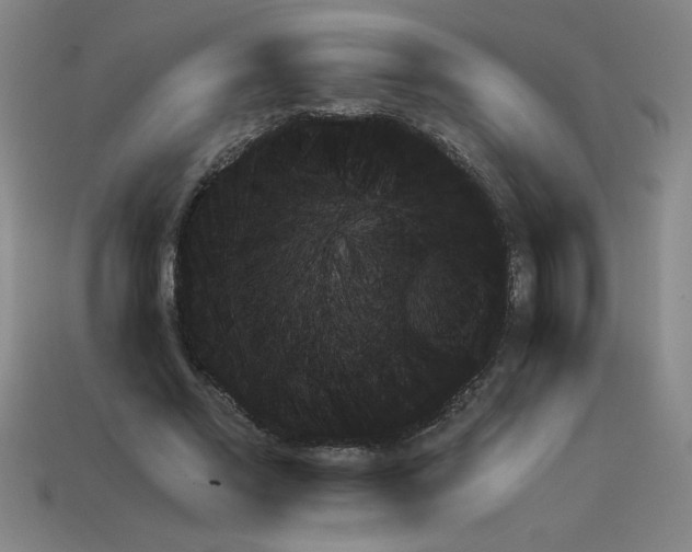 X0000111940685200909071300