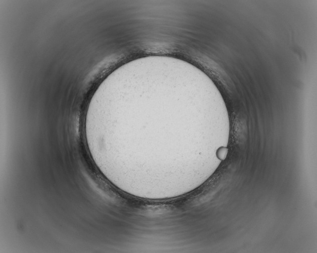 X0000111940686200909071300