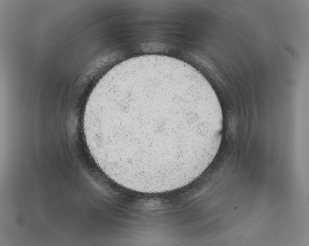 X0000111940687200909071300