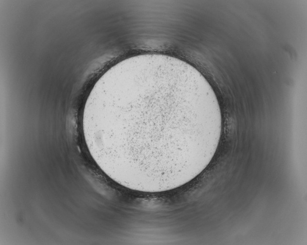 X0000111940688200909071300