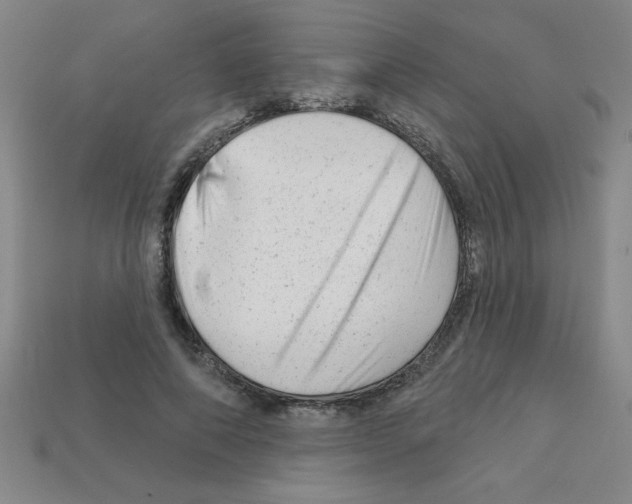 X0000111940690200909071300