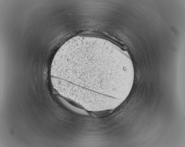 X0000111940693200909071300