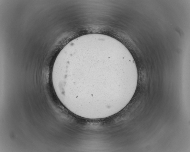 X0000111940694200909071300