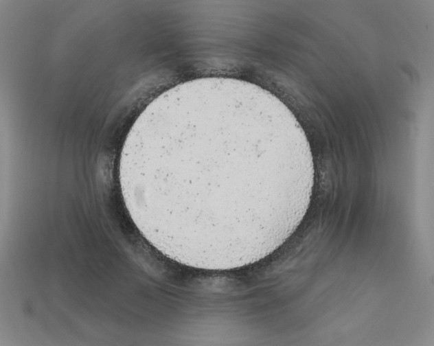 X0000111940695200909071300