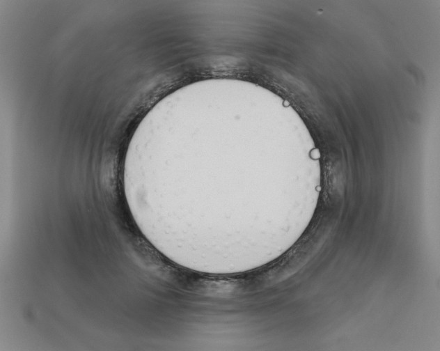 X0000111940698200909071300