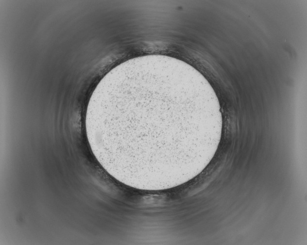X0000111940700200909071300