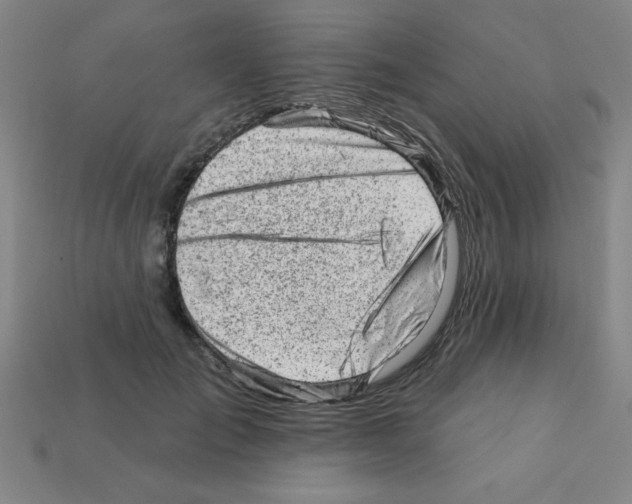 X0000111940701200909071300