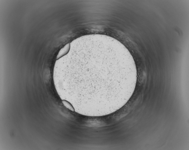 X0000111940704200909071300