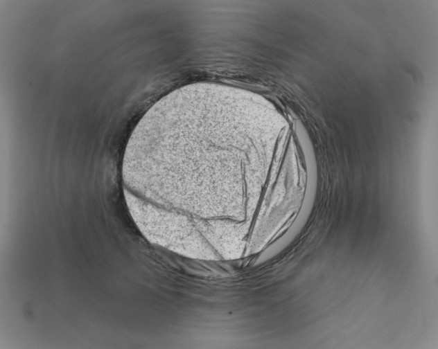 X0000111940705200909071300
