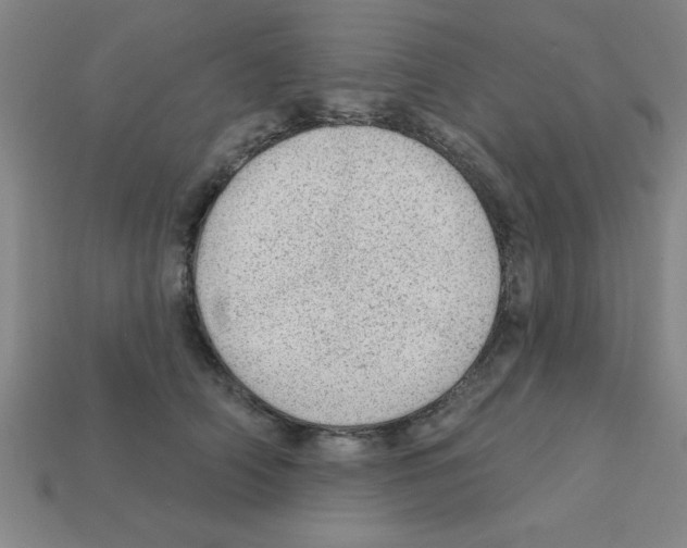 X0000111940706200909071300