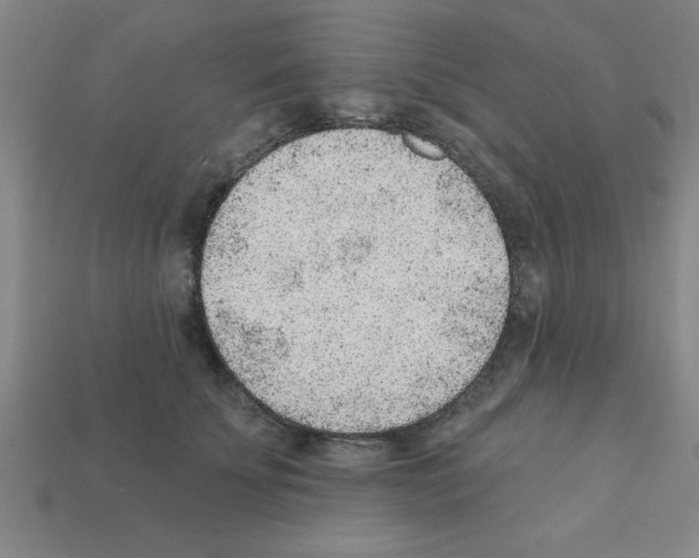 X0000111940707200909071300
