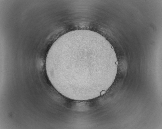 X0000111940709200909071300