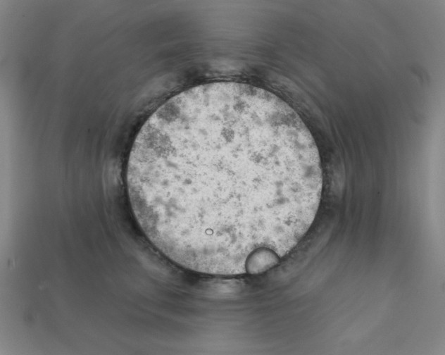 X0000111940711200909071300