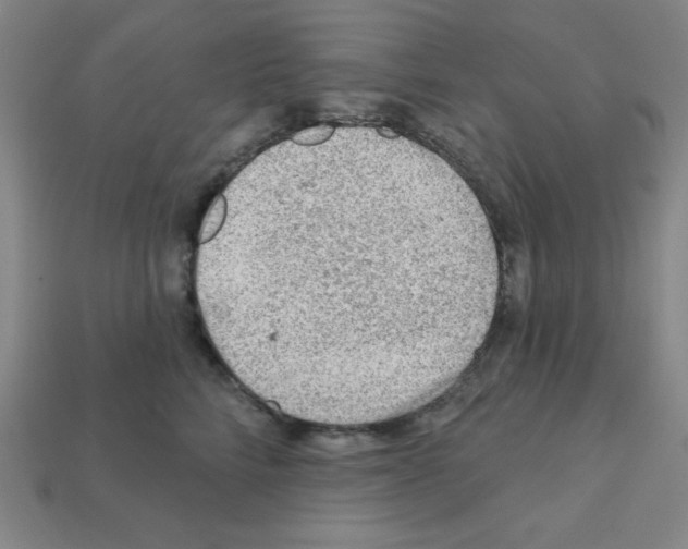 X0000111940712200909071300