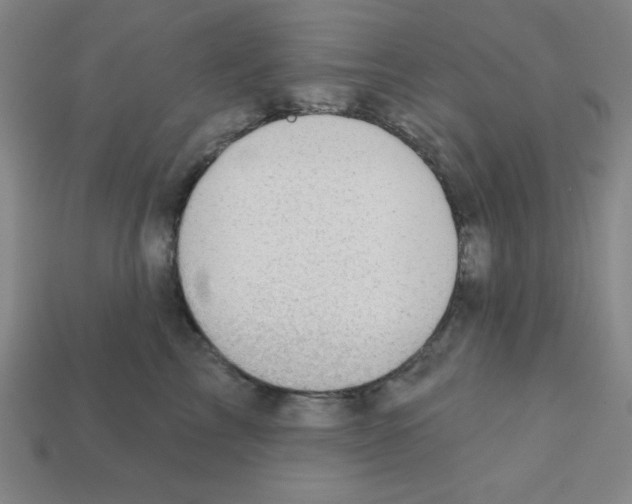 X0000111940713200909071300