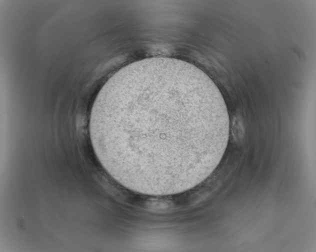 X0000111940714200909071300