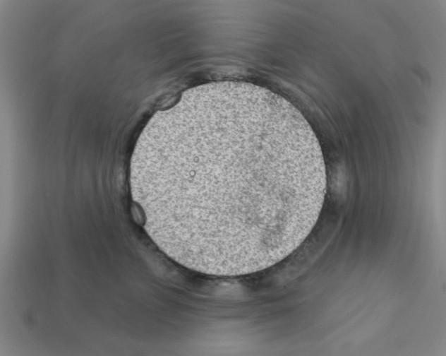 X0000111940715200909071300