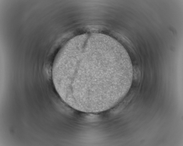 X0000111940718200909071300