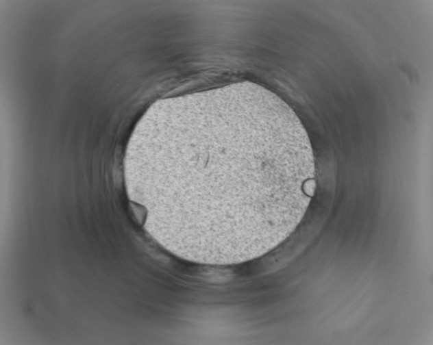 X0000111940719200909071300