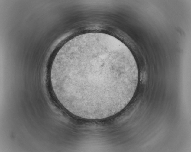 X0000111940724200909071259