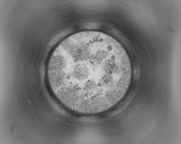 X0000111940725200909071259