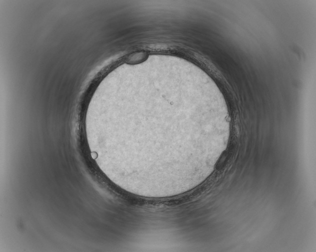 X0000111940728200909071259