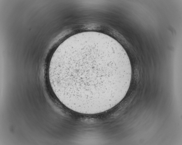 X0000111940730200909071259
