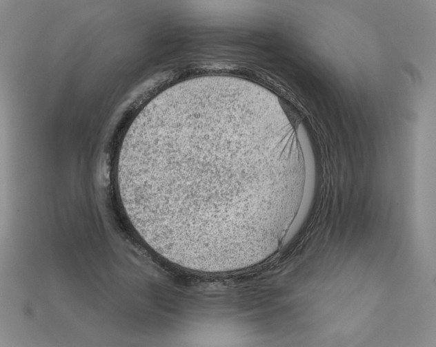 X0000111940731200909071259