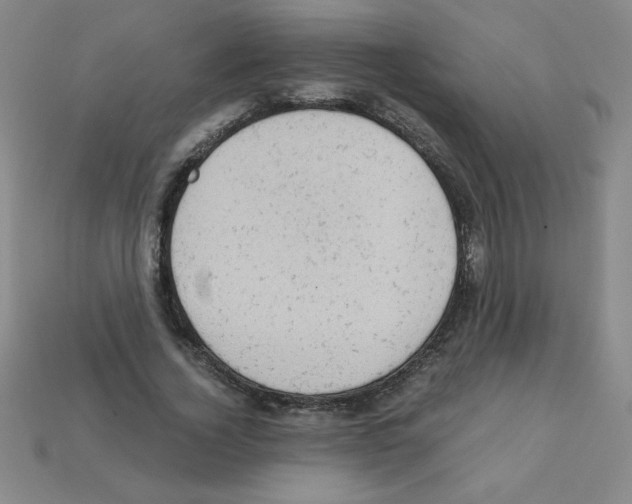 X0000111940732200909071259