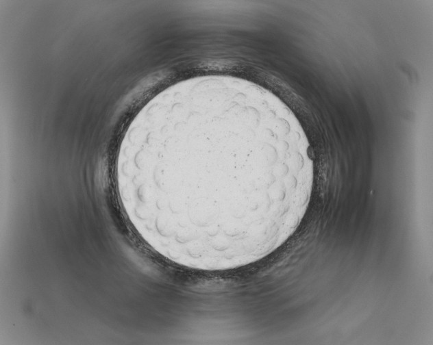 X0000111940734200909071259