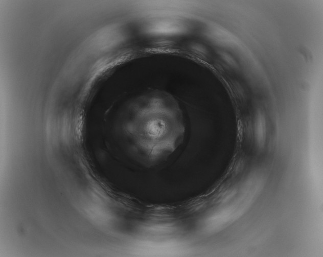 X0000111940735200909071259