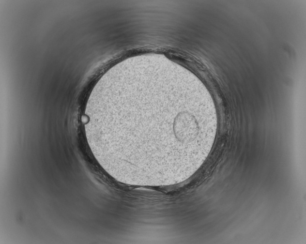 X0000111940736200909071259