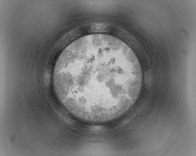 X0000111940741200909071259