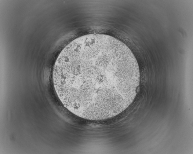 X0000111940742200909071259