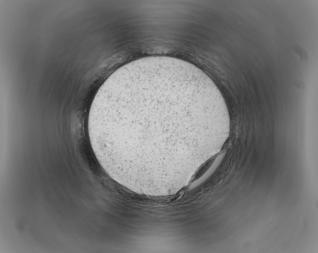 X0000111940743200909071259