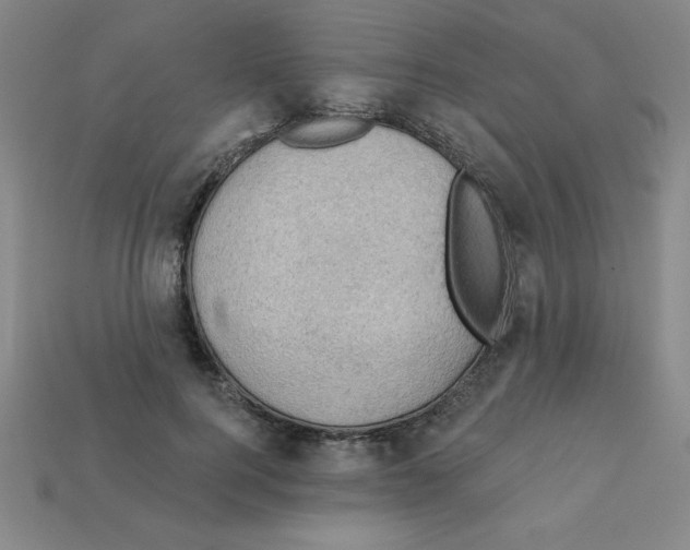 X0000111940744200909071259