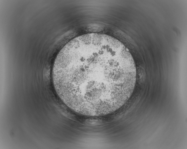 X0000111940745200909071259