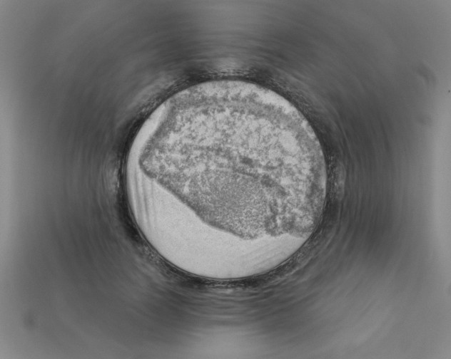X0000111940746200909071259