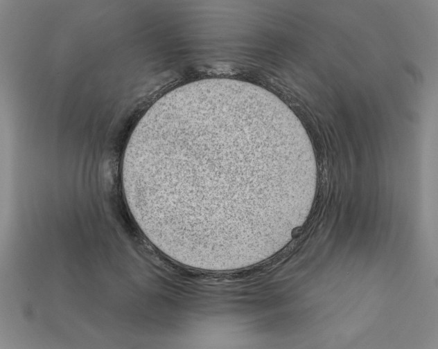X0000111940747200909071259