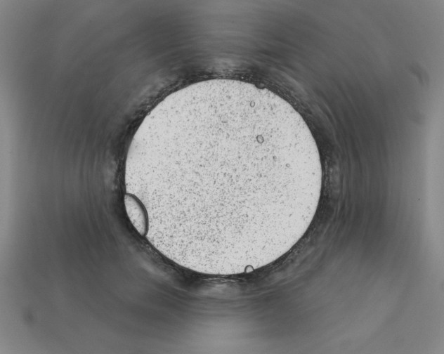 X0000111940750200909071259