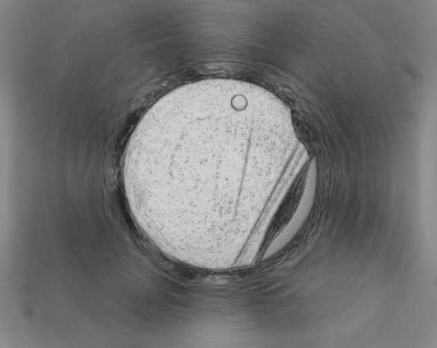 X0000111940751200909071259