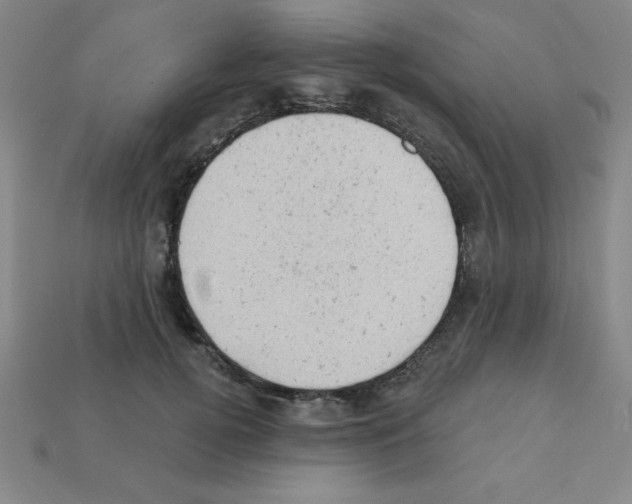 X0000111940752200909071259