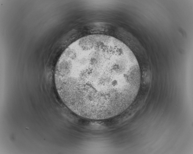 X0000111940753200909071259