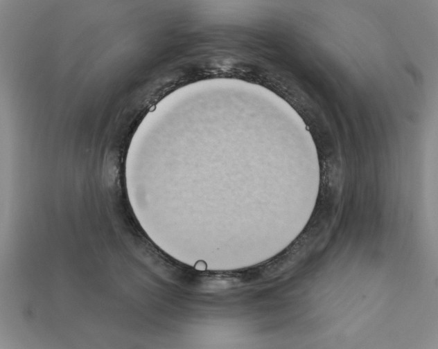 X0000111940754200909071259