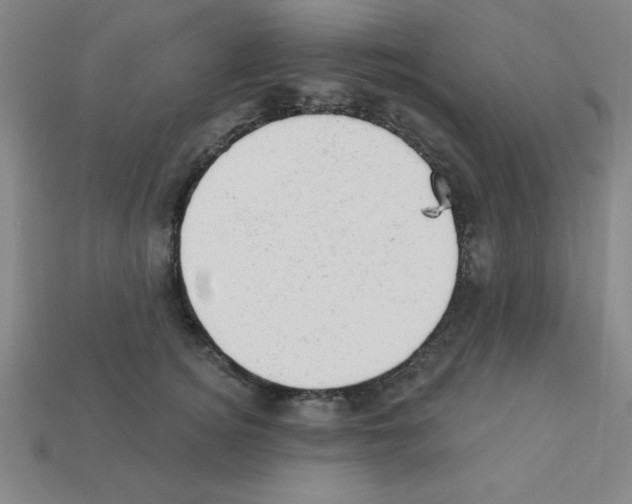 X0000111940756200909071259