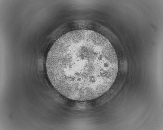 X0000111940757200909071259